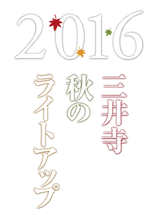 2016 三井寺秋のライトアップ