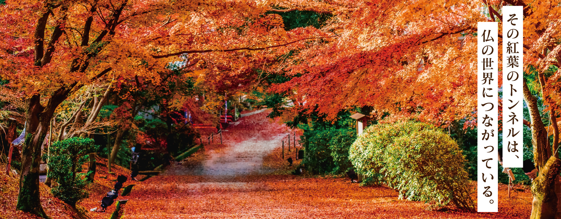 三井寺の秋景色